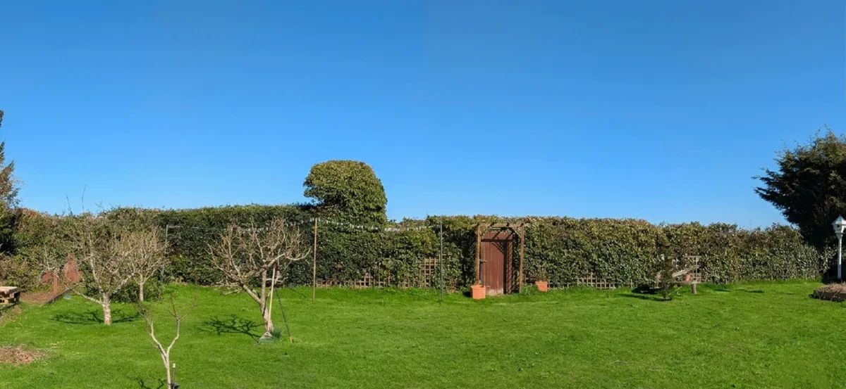 Professionally mowed lawn after GreenRun service in Norwich