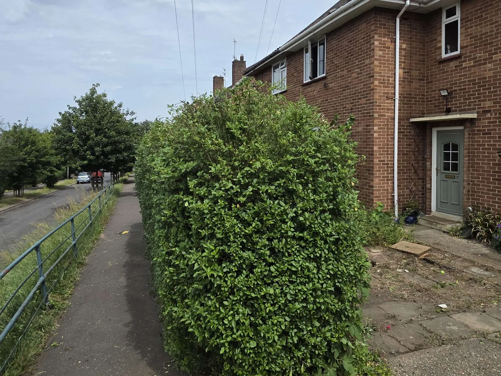 Neatly shaped hedge after GreenRun hedge trimming in Norwich
