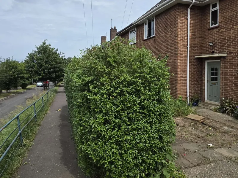 Hedge after GreenRun trimming
