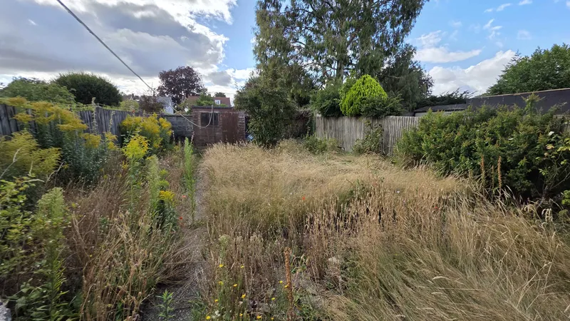 Overgrown garden with long grass and weeds before GreenRun clearance