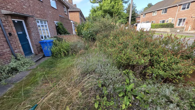 Overgrown front garden and entrance before GreenRun cut-back