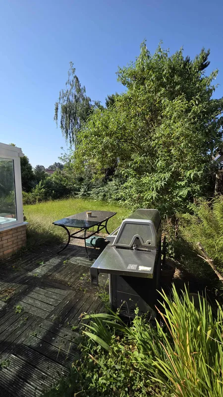 Long lawn and dense border growth before GreenRun garden work