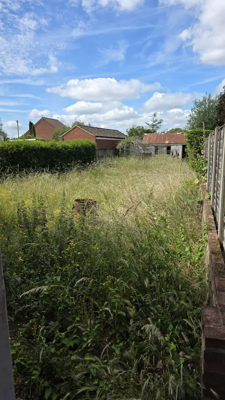 Large garden hidden by tall grass and weeds before GreenRun clearance
